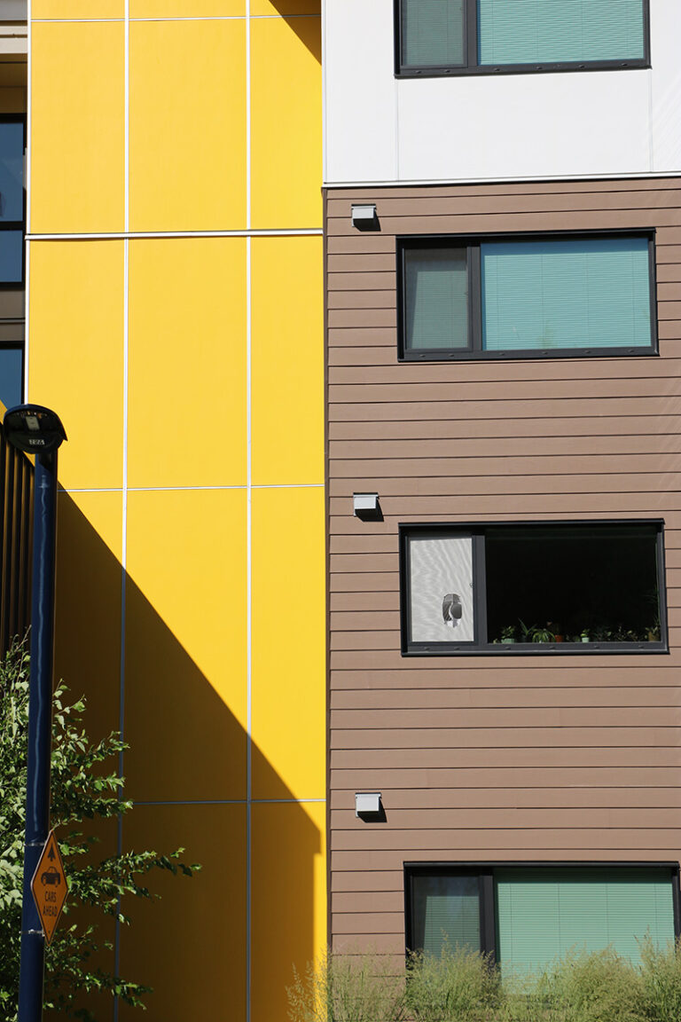 TrueColour™ | Custom Yellow & White Panel & Brown Lap Siding