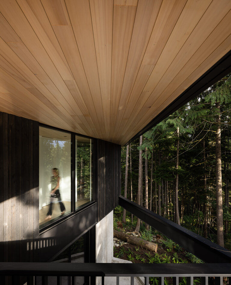 Hemlock Tongue and Groove | Tantalus Series™ | 1x6 | Chinook