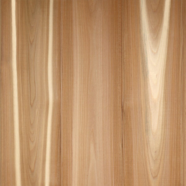 fisher coating WRC Clear MG T&G KD V Joint Smooth x