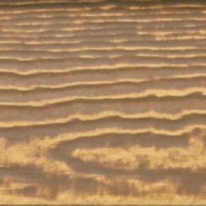 fisher coating truegrain swatch gold rush x