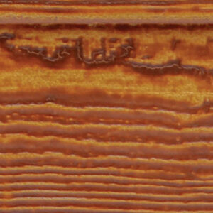 fisher coating truegrain swatches chris craft x