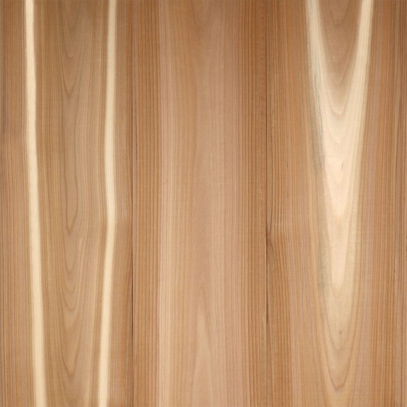 fisher coating WRC MG Clear T&G KD V Gap Smooth x