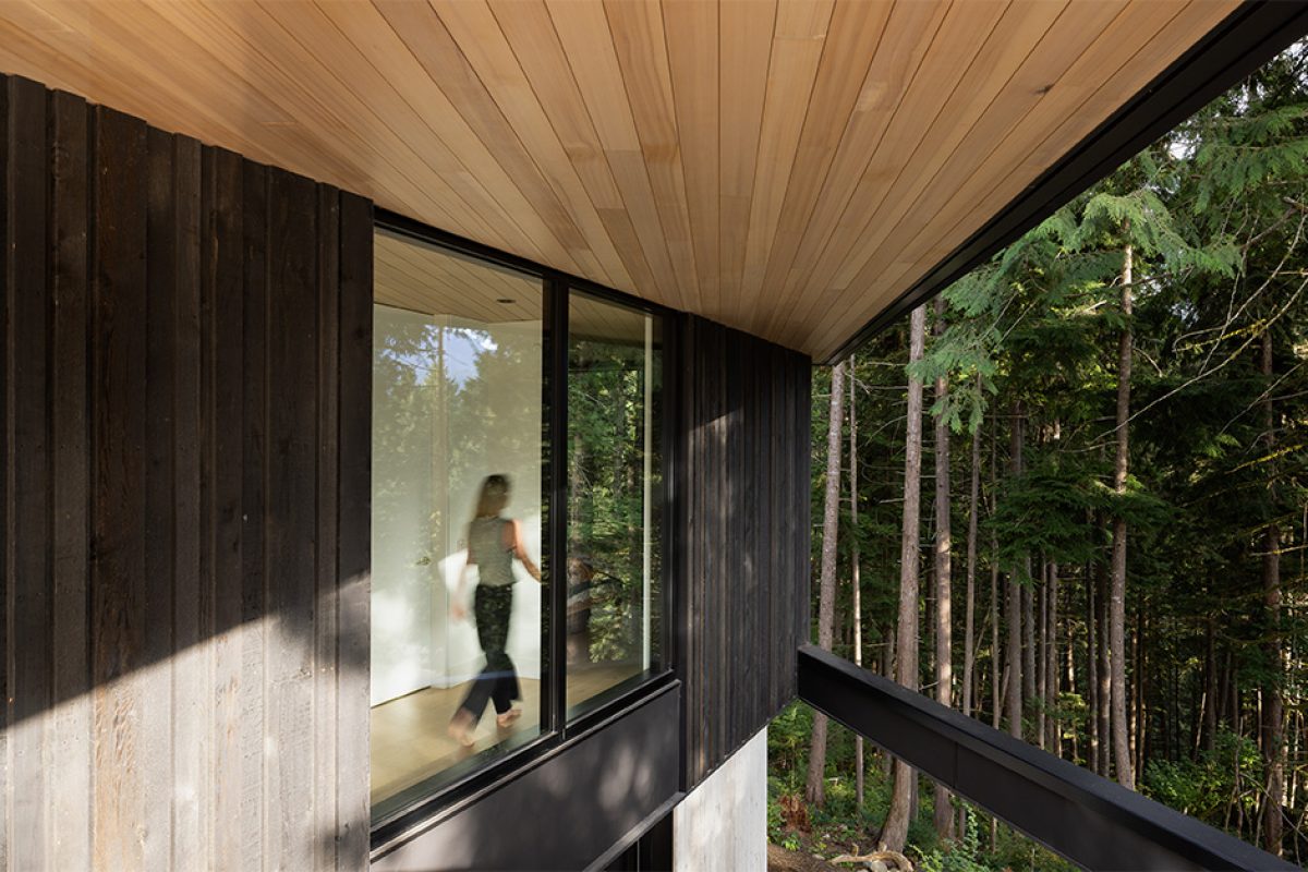 Benefits of Western Hemlock for Soffit