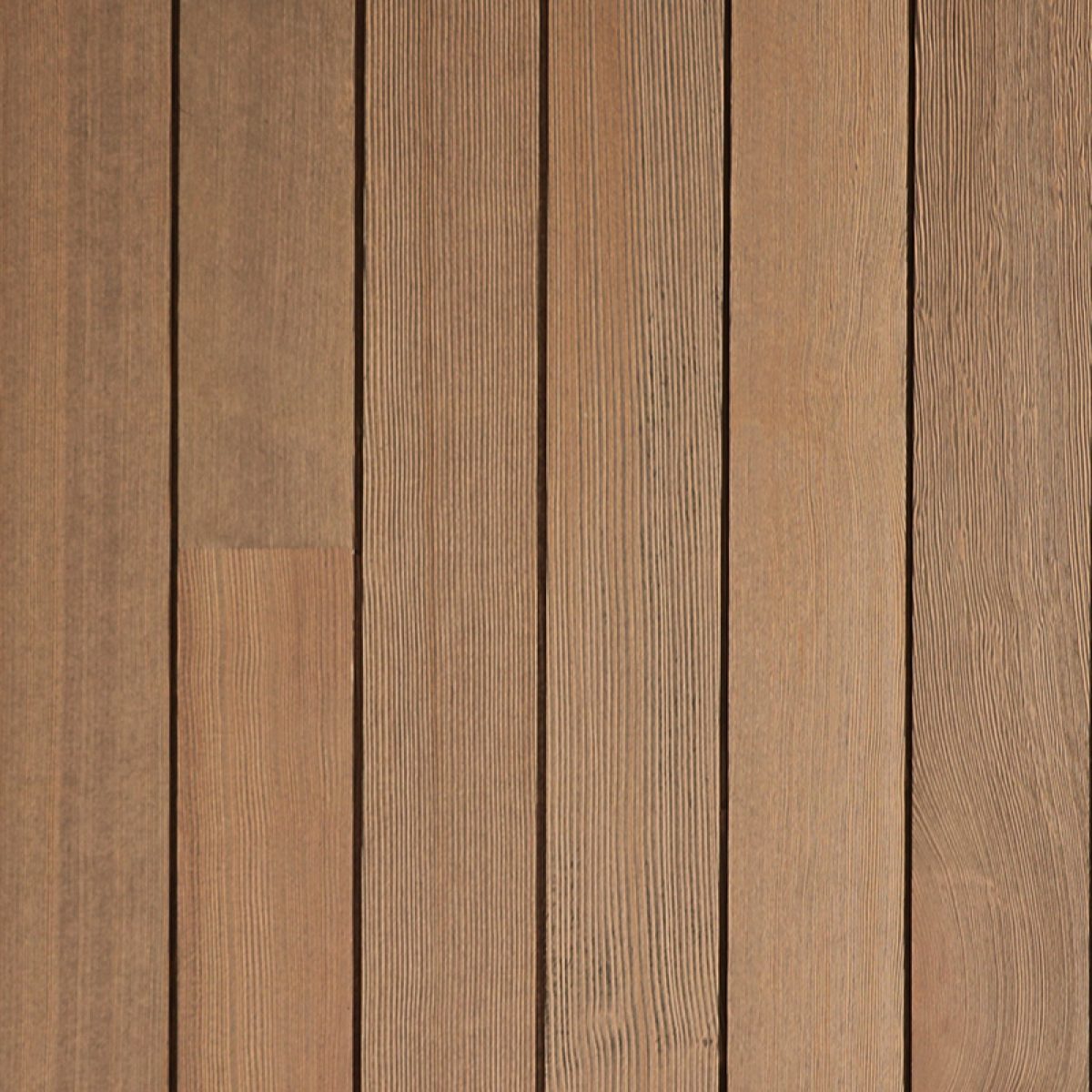 Tantalus Series™ | Sea Otter