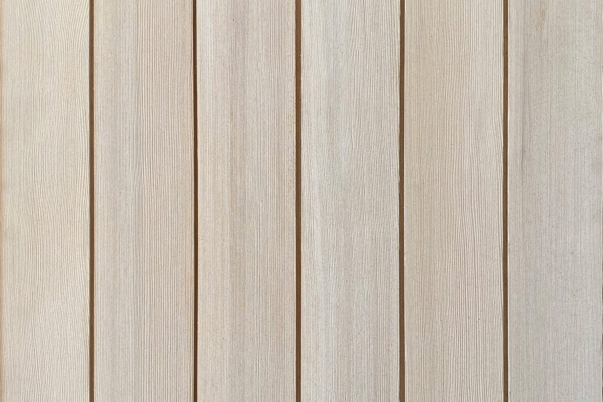 Tantalus Series™ | Oyster Mushroom