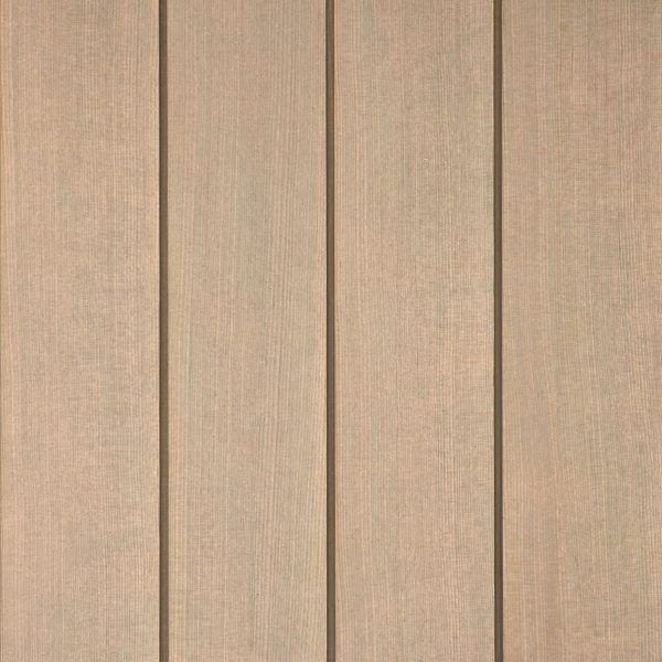 Tantalus Series™ | Western Gull