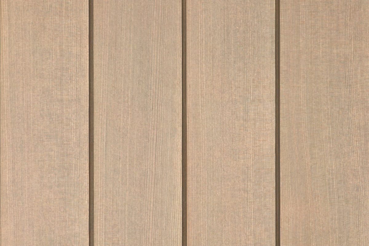 Tantalus Series™ | Western Gull