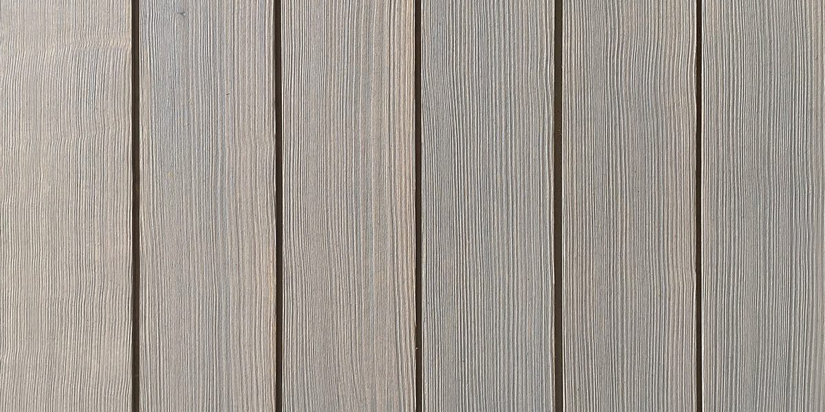 Tantalus Series™ | Western Gull