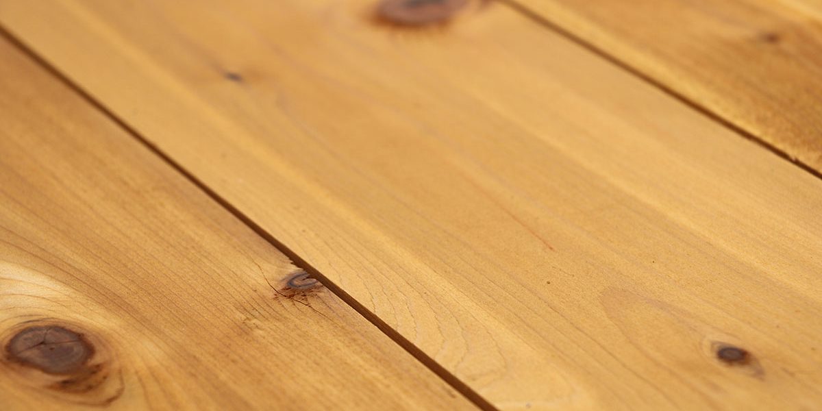 WestCoast Cedar™ | Haida Gwaii | STK WRC Smooth